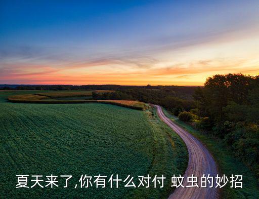 夏天來了,你有什么對付 蚊蟲的妙招