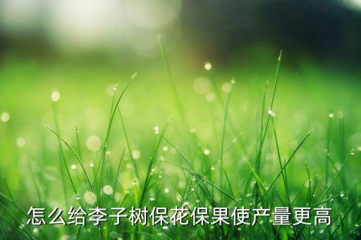 李樹花期后用什么農藥