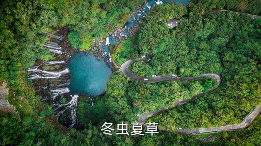 草頭打什么農藥,草頭有農藥嗎