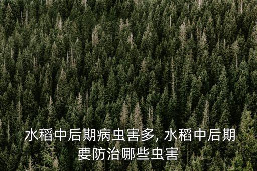 水稻中后期病蟲害多, 水稻中后期要防治哪些蟲害