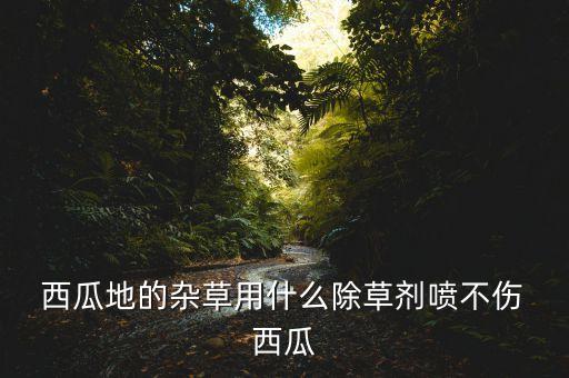 西瓜地的雜草用什么除草劑噴不傷 西瓜