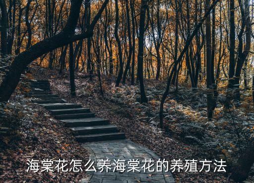 秋海棠用什么農(nóng)藥來(lái)滅蟲(chóng)