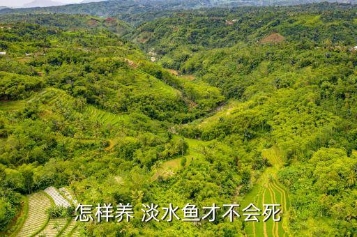 怎樣養(yǎng) 淡水魚(yú)才不會(huì)死