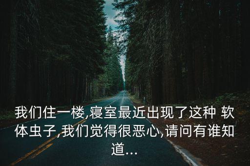 軟體蟲用什么農(nóng)藥,青菜有蟲打什么農(nóng)藥好