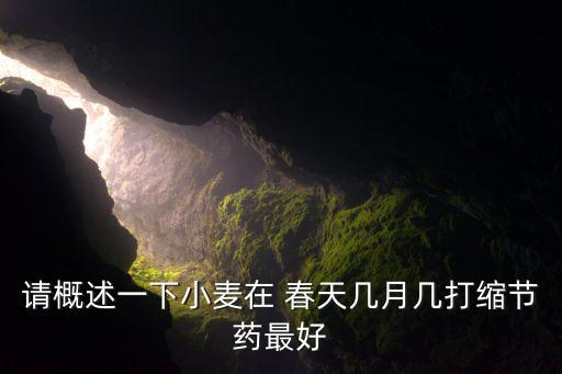 請概述一下小麥在 春天幾月幾打縮節藥最好