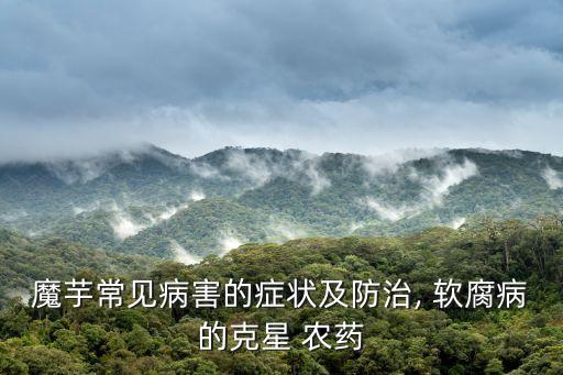 魔芋常見病害的癥狀及防治, 軟腐病的克星 農藥