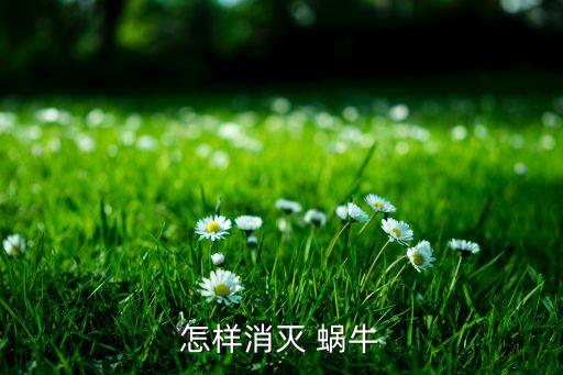 蝸牛什么時(shí)候打農(nóng)藥最好,滅殺蝸牛最好的農(nóng)藥是什么