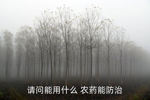 高粱地可以用什么農(nóng)藥,高粱打什么農(nóng)藥效果最好