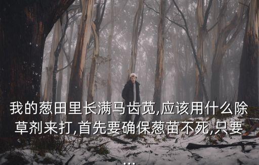 我的蔥田里長滿馬齒莧,應(yīng)該用什么除草劑來打,首先要確保蔥苗不死,只要...