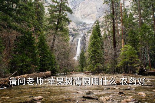 請問老師:蘋果樹清園用什么 農(nóng)藥好,