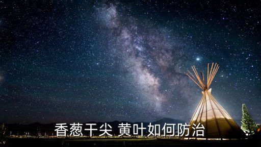 分蔥黃葉用什么農藥,黃葉病打什么農藥