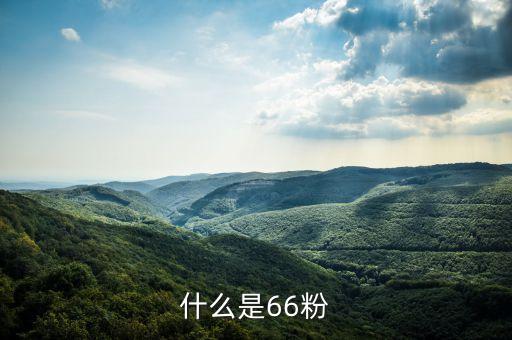 什么是66粉