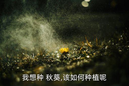 我想種 秋葵,該如何種植呢