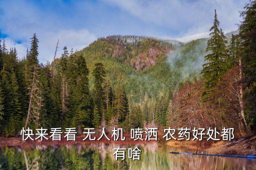 快來看看 無人機 噴灑 農(nóng)藥好處都有啥