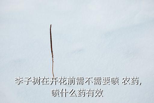 李子樹五月打什么農藥