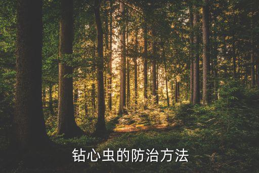 重樓鉆心蟲用什么農藥,什么農藥治鉆心蟲