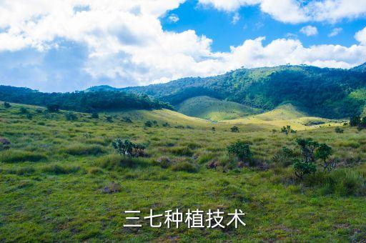 三七根腐病打什么農藥,根腐病用什么農藥