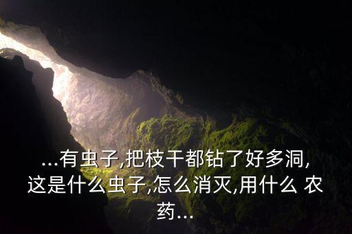 樹干蟲用什么農藥,蚧殼蟲用什么農藥效果好