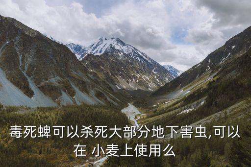 毒死蜱可以殺死大部分地下害蟲,可以在 小麥上使用么