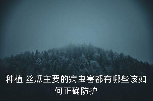 種植 絲瓜主要的病蟲害都有哪些該如何正確防護(hù)