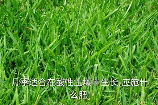 月季配土放什么農藥好使