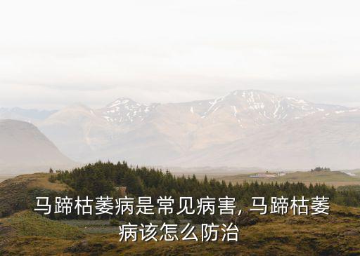 馬蹄用什么農藥增產好些,馬蹄打什么農藥最快大