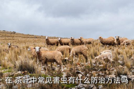 在 茶葉中常見害蟲有什么防治方法嗎