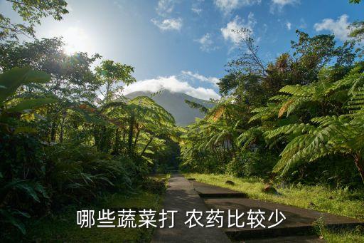 什么東西打農藥,用什么東西可以解蔬菜的農藥