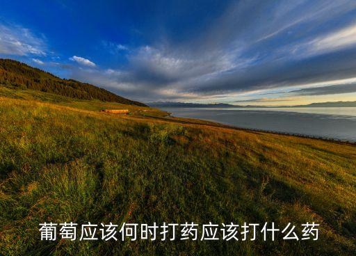 葡萄在發(fā)芽前后打什么農(nóng)藥,葡萄發(fā)芽前后用什么藥