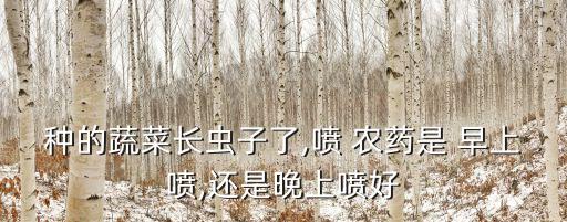 種的蔬菜長蟲子了,噴 農藥是 早上噴,還是晚上噴好