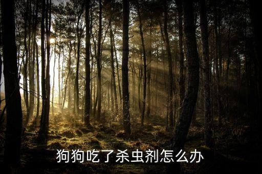 狗狗吃了殺蟲劑怎么辦