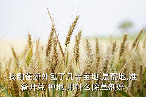 我剛在郊外包了幾十畝地,是荒地,準備開荒 種地,用什么除草劑好