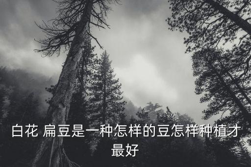扁豆用什么農藥治蟲草