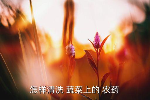 什么洗水果蔬菜可以去農(nóng)藥,水果蔬菜用什么洗最干凈