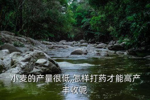 小麥喂什么農(nóng)藥好些呢,小麥打農(nóng)藥什么時(shí)間打效果好