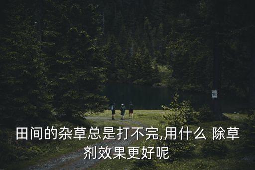 什么除草農藥能夠永久有效