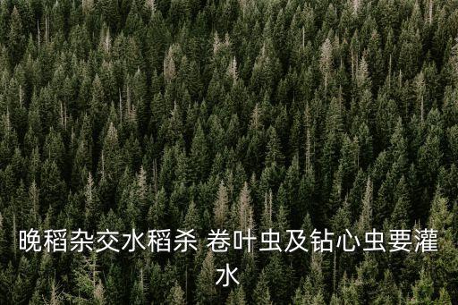 防治水稻卷葉蟲最好是什么農(nóng)藥,稻田防治卷葉蟲用什么農(nóng)藥