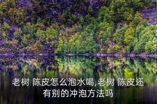 老樹 陳皮怎么泡水喝,老樹 陳皮還有別的沖泡方法嗎