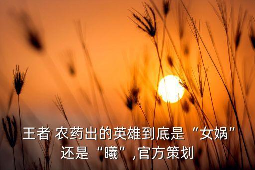 王者 農(nóng)藥出的英雄到底是“女?huà)z”還是“曦”,官方策劃