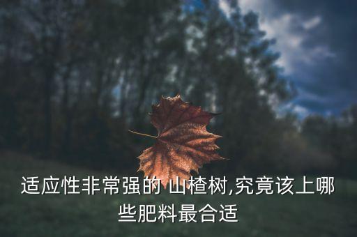 山楂開花時打什么農藥好,山楂花什么季節開花
