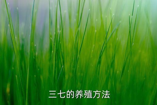 三七的養(yǎng)殖方法