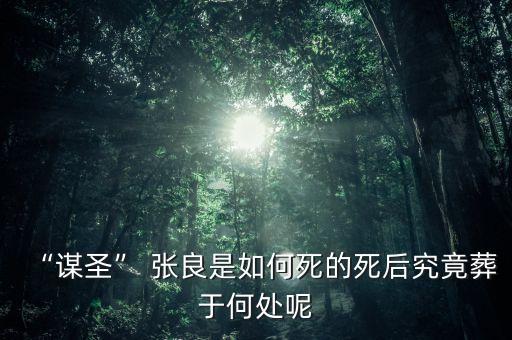 農藥張良以前叫什么,張良以前叫什么名字