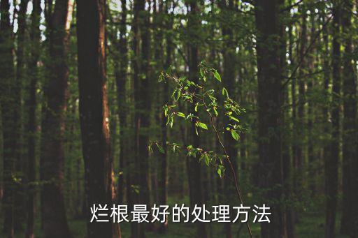 爛根最好的處理方法