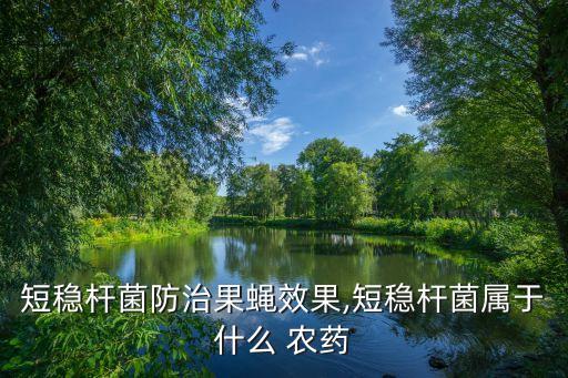 短穩桿菌防治果蠅效果,短穩桿菌屬于什么 農藥