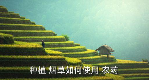 煙草地用什么農藥好,煙草打什么農藥