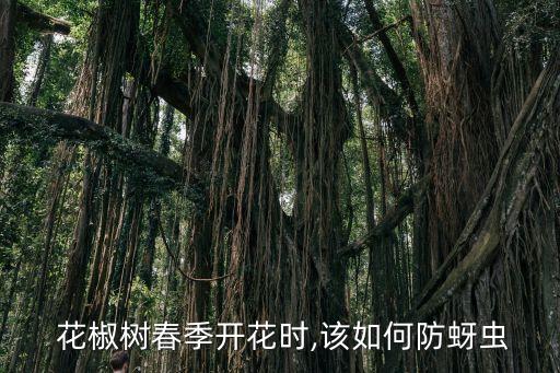 開春給花椒打什么農(nóng)藥,花椒樹用什么農(nóng)藥好