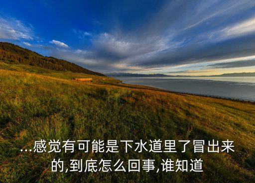 ...感覺有可能是下水道里了冒出來的,到底怎么回事,誰知道