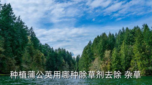 殺滅雜草用什么農藥,春季雜草用什么農藥效果好