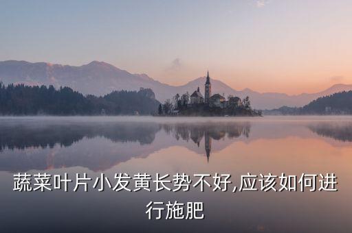 小菜黃葉子殺什么農藥