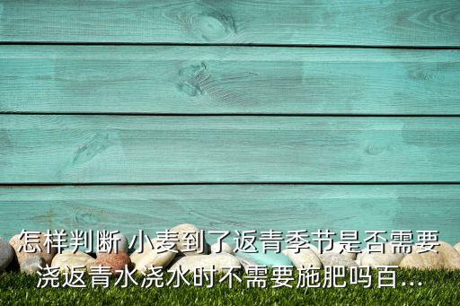 怎樣判斷 小麥到了返青季節(jié)是否需要澆返青水澆水時(shí)不需要施肥嗎百...